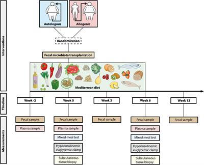 Effect of Fecal Microbiota Transplantation Combined With Mediterranean Diet on Insulin Sensitivity in Subjects With Metabolic Syndrome